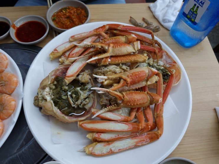  울산 맛집_농수산물시장 회 센터