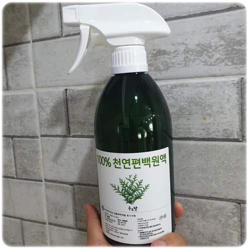  편백수 효능 좀 보자! 피톤치드스프레이