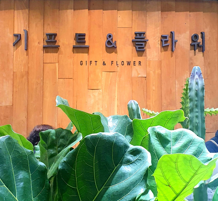  [판교역 현대백화점] 기프트&플라워