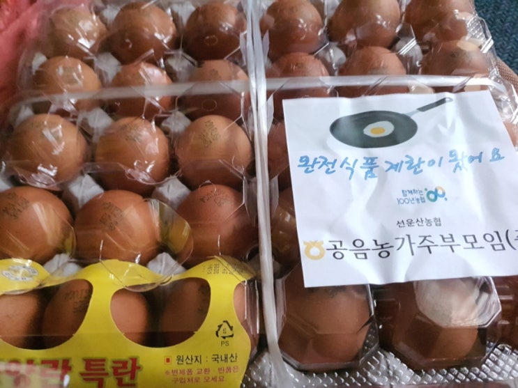 저 나이때... 저 나이때...