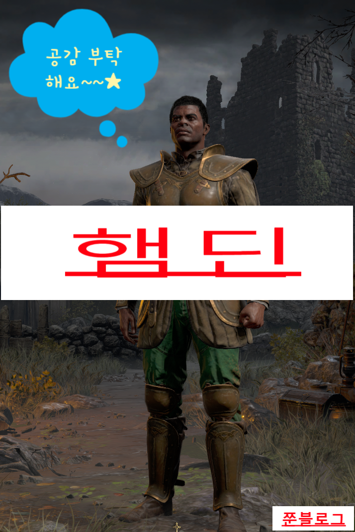  디아블로 2 레저렉션 성기사(팔라딘)/햄딘(스킬&스탯 기본세팅)