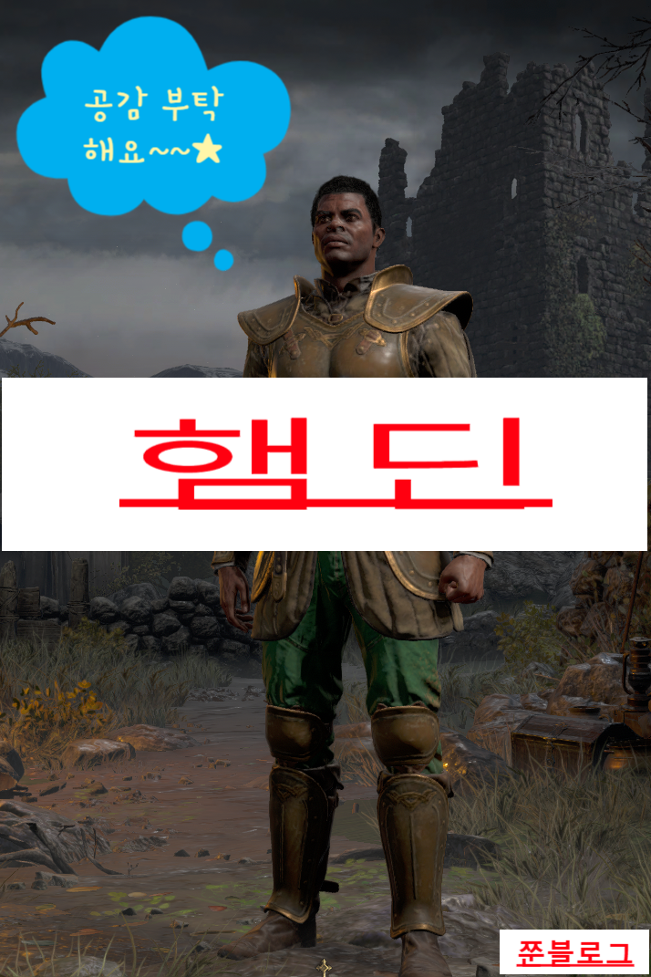 디아블로 2 레저렉션 성기사(팔라딘)/햄딘(스킬&스탯 기본세팅)