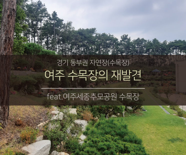 동부권(여주)자연장(수목장)의 재발견 (feat.여주세종추모공원)