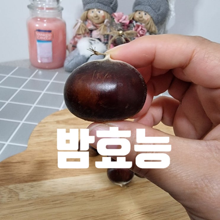  완전영양식품 밤 효능