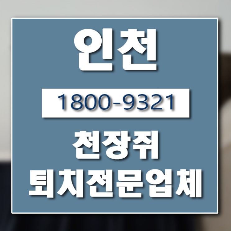  계양구 쥐퇴치는 버그헌터119인천센터