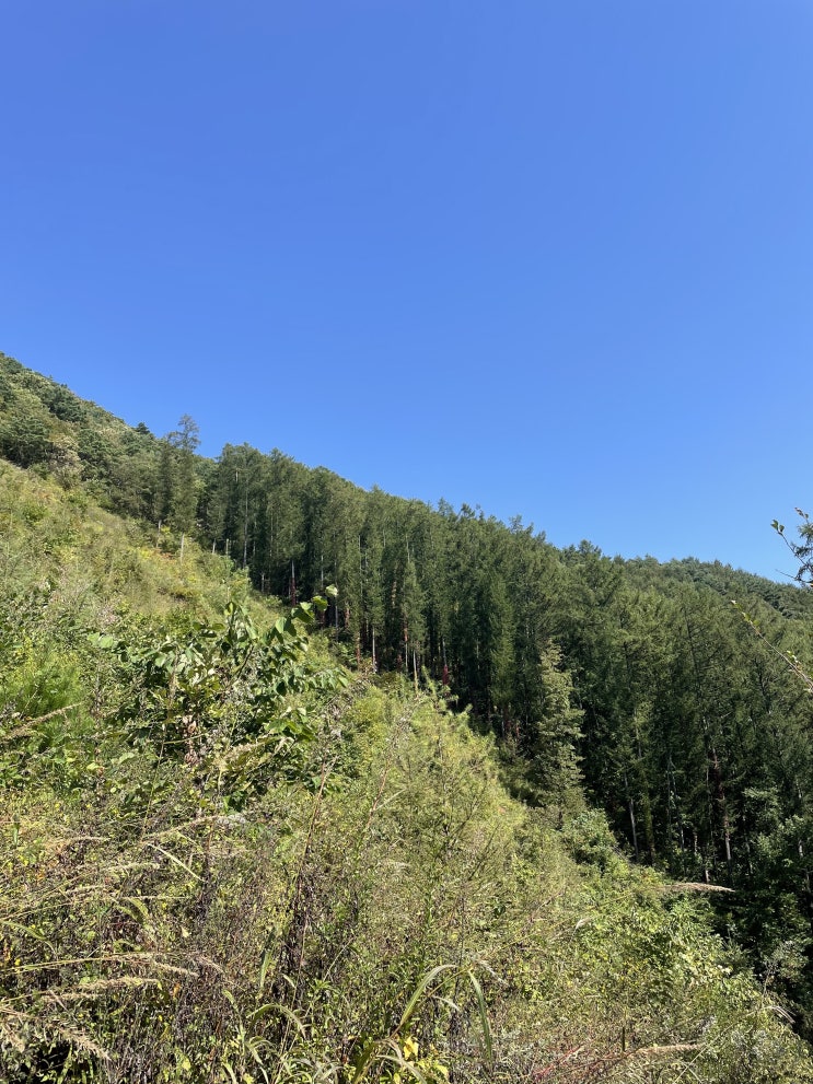  민둥산 등산을 다녀왔습니다 :)