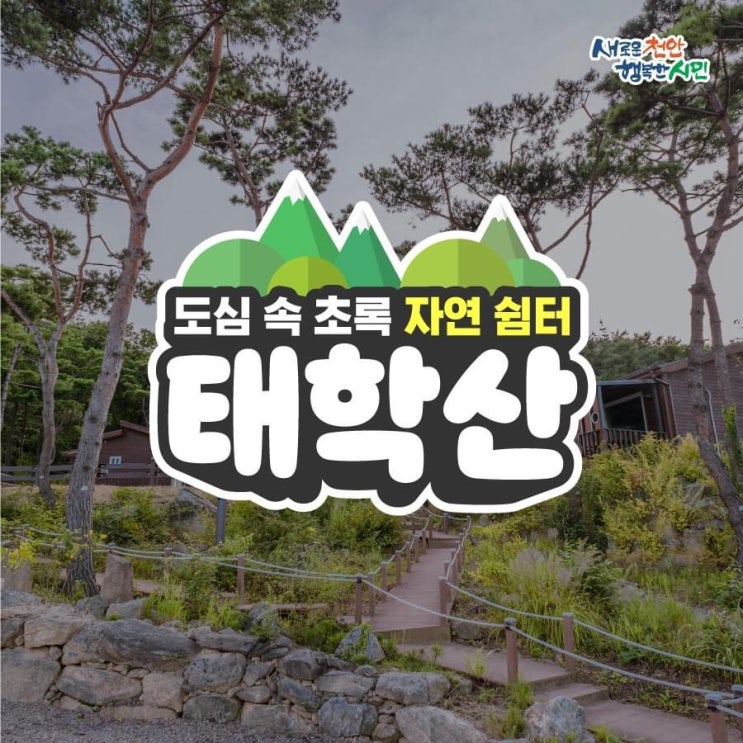 천안 가볼만한곳 도심 속 초록 자연 쉼터 태학산 | 천안시청페이스북