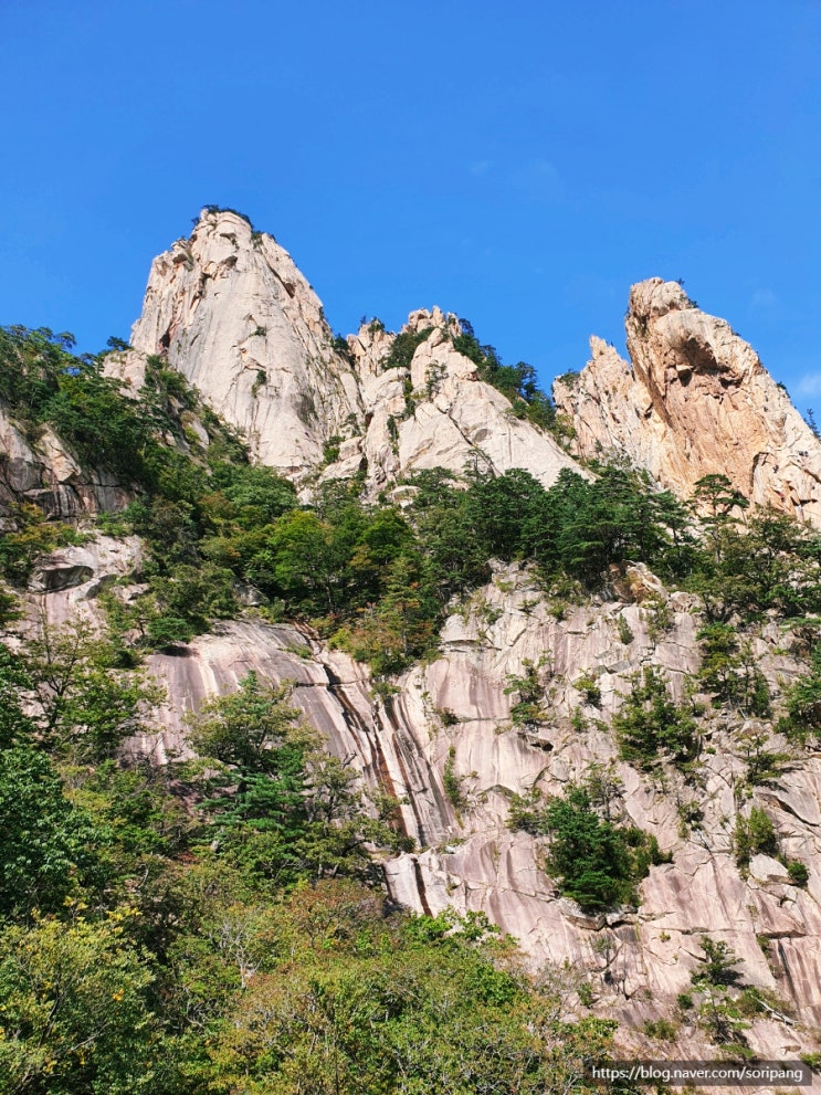  설악산 케이블카 가을여행 권금성 미션수행