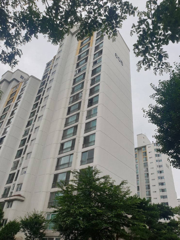 빌라 아파트 누수 공사보다는 명확한 누수탐지가 우선