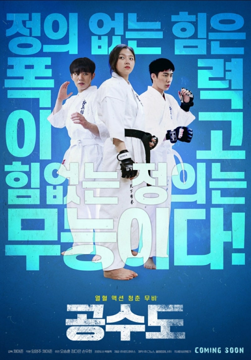 영화후기 킬링타임 영화 공수도 정다은 주연 학원액션물
