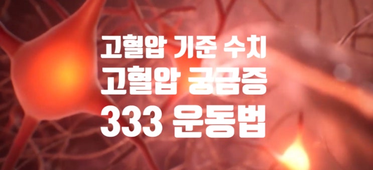  고혈압에 대한 궁금증 (ft. 전단계 기준 수치와 추천 333 운동법) 30분 낮잠 좋아요.