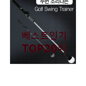  요즘대세 연습용골프채 아이템 best랭킹