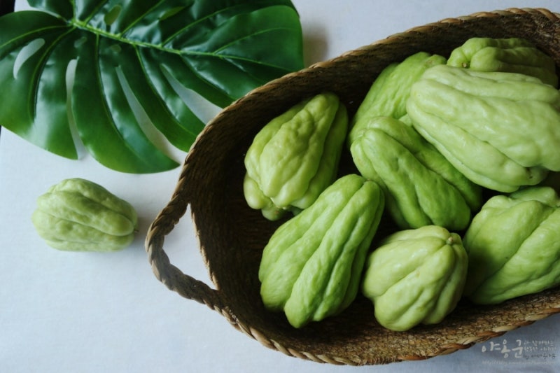 차요테(CHAYOTE) 먹는법 :: 차요테절임 만들기 ⓦ 한살림 : 네이버 블로그
