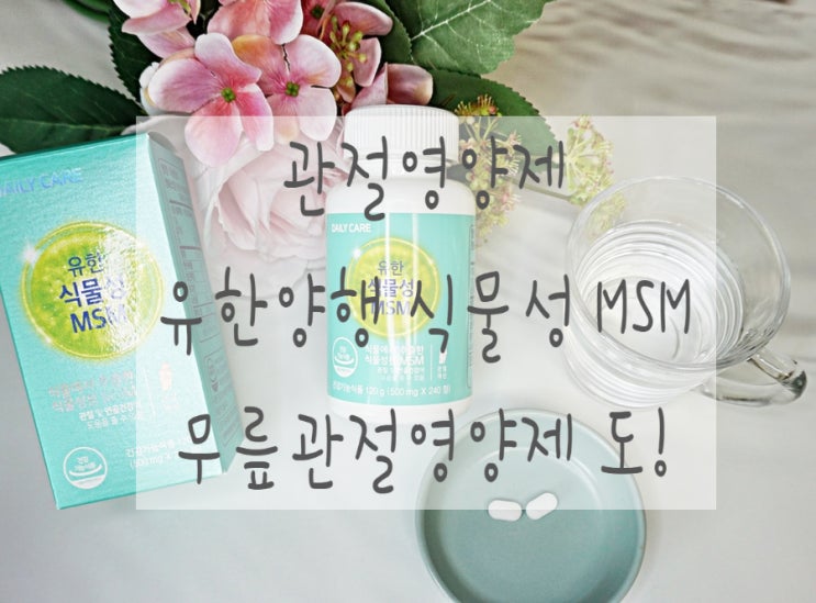  무릎관절영영제 유한양행 식물성 MSM  도!