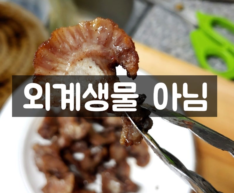 경악스러운 비주얼, 돼지 특수부위 도래창 구워먹은 후기