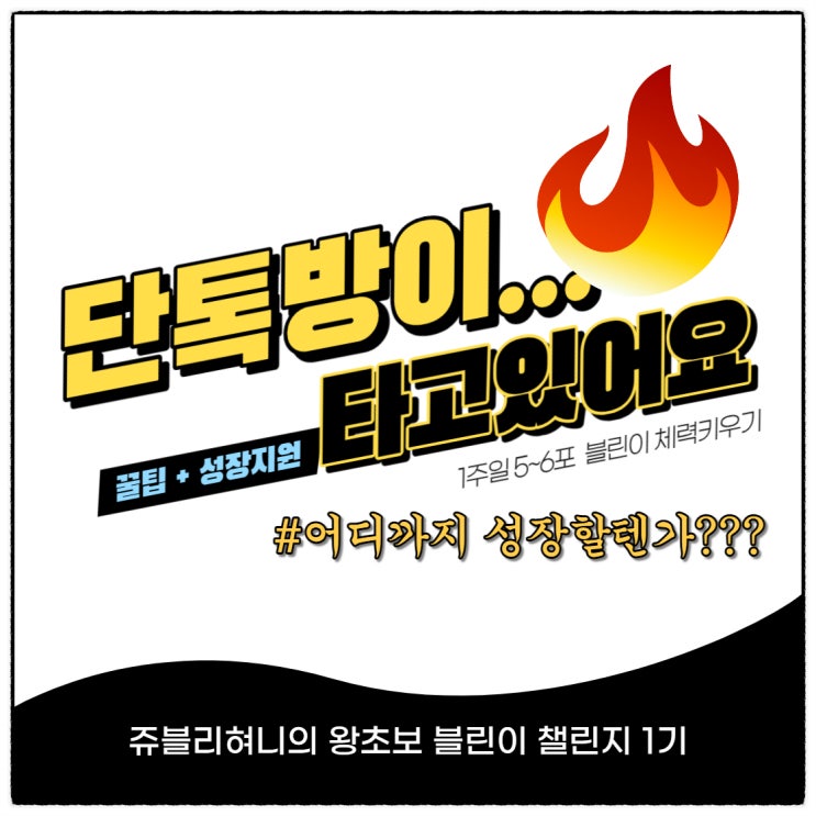 왕초보 블로그 챌린지 1기, 멋진 여러분들을 소개합니다! (Feat. 단톡방이 불타고 있어요!!!)