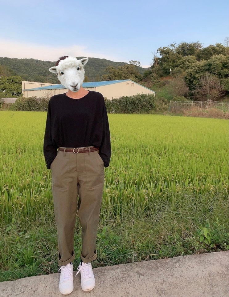  유니폼브릿지 바지 가을과 어울리는 biker pants khaki 착샷