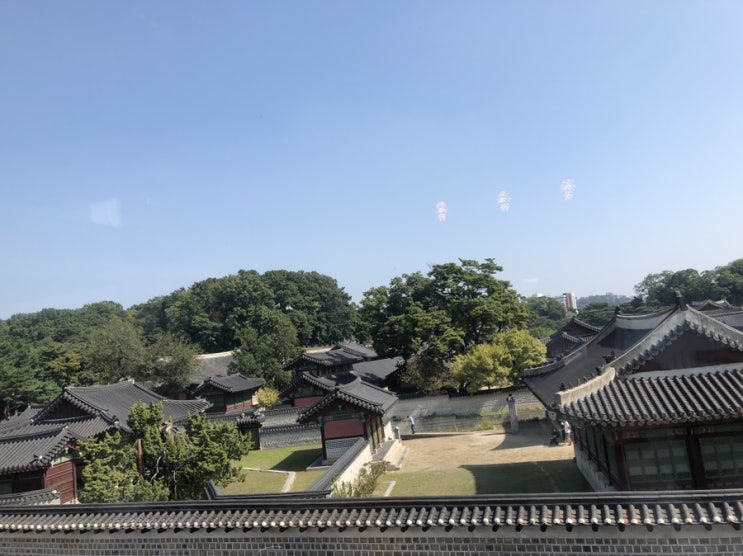  "궁궐과 고목들이 한눈에" 창덕궁 뷰 종로 카페 회화나무
