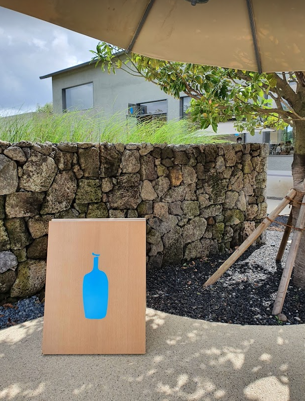 제주 가볼만한곳!! 블루보틀 제주 제주 가볼만한곳!! 블루보틀 제주