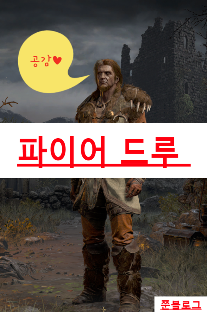 디아블로 2 레저렉션 드루이드/파이어드루//불드루(스킬@스탯 기본세팅)