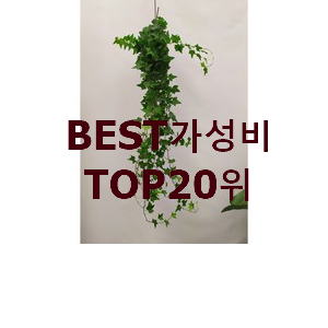  꼭 사고싶은 넝쿨식물 사는곳 공유 베스트 상품 랭킹 20위