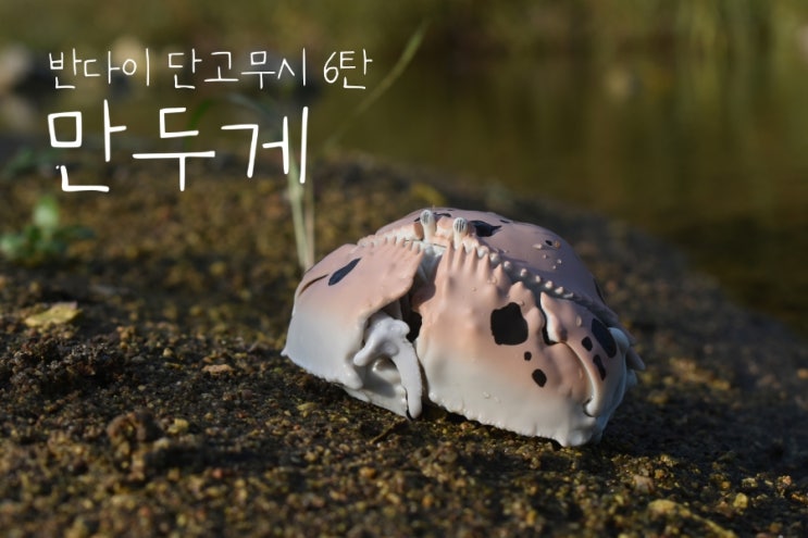  반다이 단고무시 6탄 만두게 자랑글