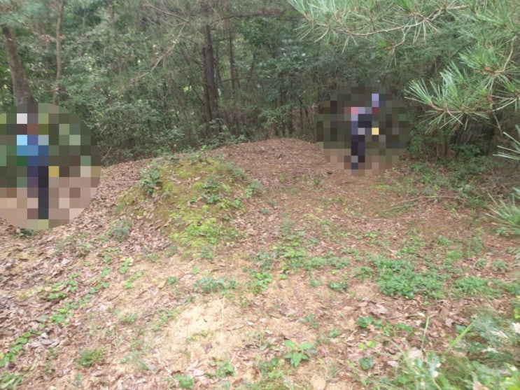  2021년 경북 김천시 벌초대행  고인돌장묘개발장의사 #벌초대행