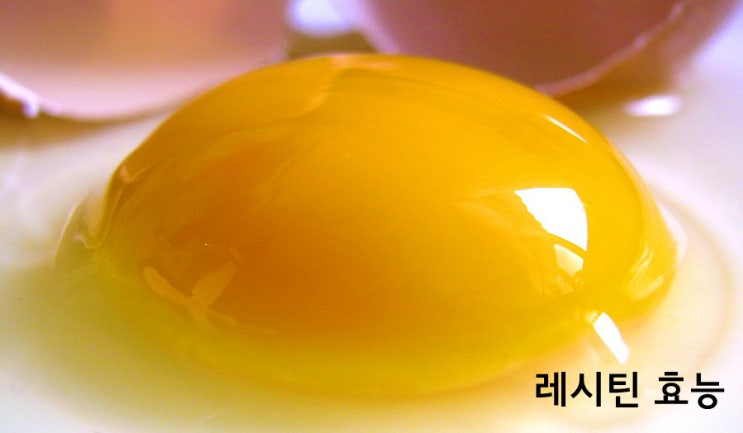  레시틴 효능