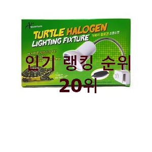  안보면 손해 거북이램프 상품 베스트 가성비 랭킹 20위