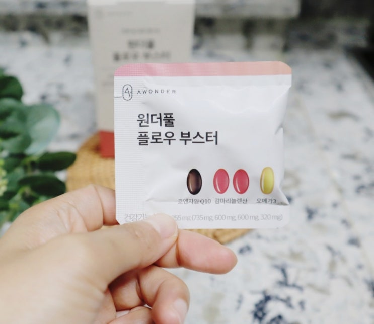  혈행개선제 원더풀플로우부스터