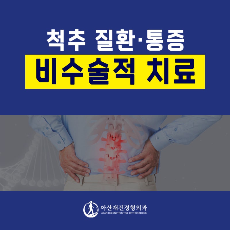 정형외과 비수술적 치료 주사 (PPT첨부)