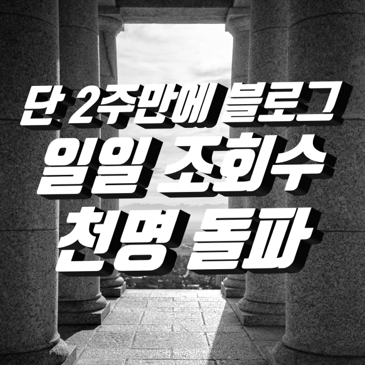 단 2주만에 블로그 일일 조회수 천명 돌파