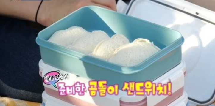 미스트롯 양지은네 아이들 미스트롯 양지은네 아이들