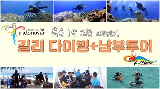  길리다이빙+남부투어 롬복 1박2일 패키지
