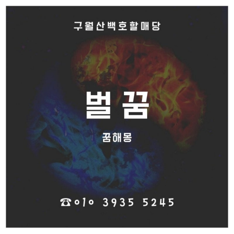 전화상담 대구점집[구월산백호할매당 / 벌 꿈 / 벌에 쏘이는 꿈 / 벌 보는 꿈 해몽 풀이]