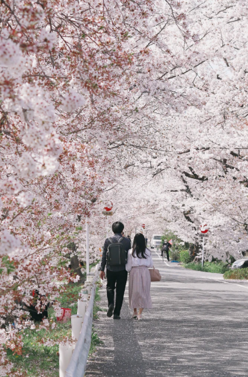 이대로라면 인생 마지막날에 후회합니다! 「내일 죽을지 몰라요? 인생 마지막날에 웃으면서 죽는 27가지 질문」_히스이 코우타로(ひすいこたろう) 이대로라면 인생 마지막날에 후회합니다! 「내일 죽을지 몰라요? 인생 마지막날에 웃으면서 죽는 27가지 질문」_히스이 코우타로(ひすいこたろう)
