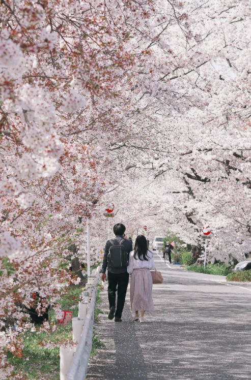 이대로라면 인생 마지막날에 후회합니다! 「내일 죽을지 몰라요? 인생 마지막날에 웃으면서 죽는 27가지 질문」_히스이 코우타로(ひすいこたろう)