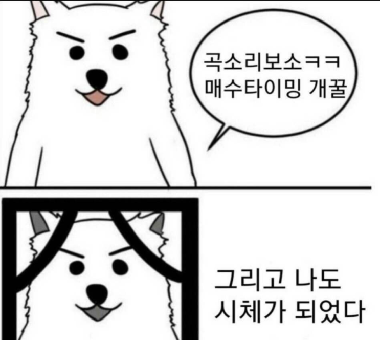  코스피 코스닥 지수 하락에도 수익을 내는 낙폭과대주 투자 전략
