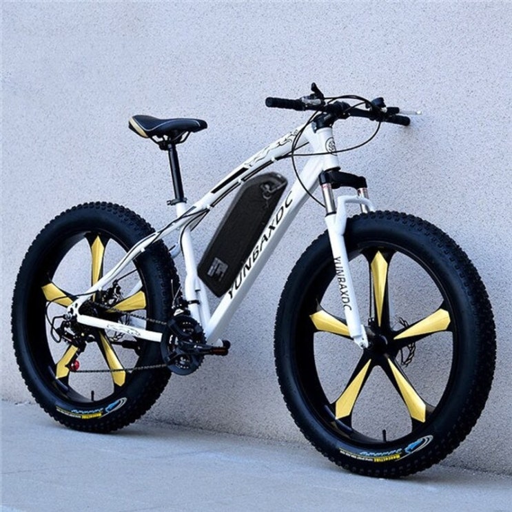 인기 많은 전기자전거 전기로드자전거 장거리 자전거 26 스노우 전기 산악 자전거 48v21ah 리튬 배터리 1000w 모터 지방 ebike 4.0 타이어 고속 브러시리스 전기 자전