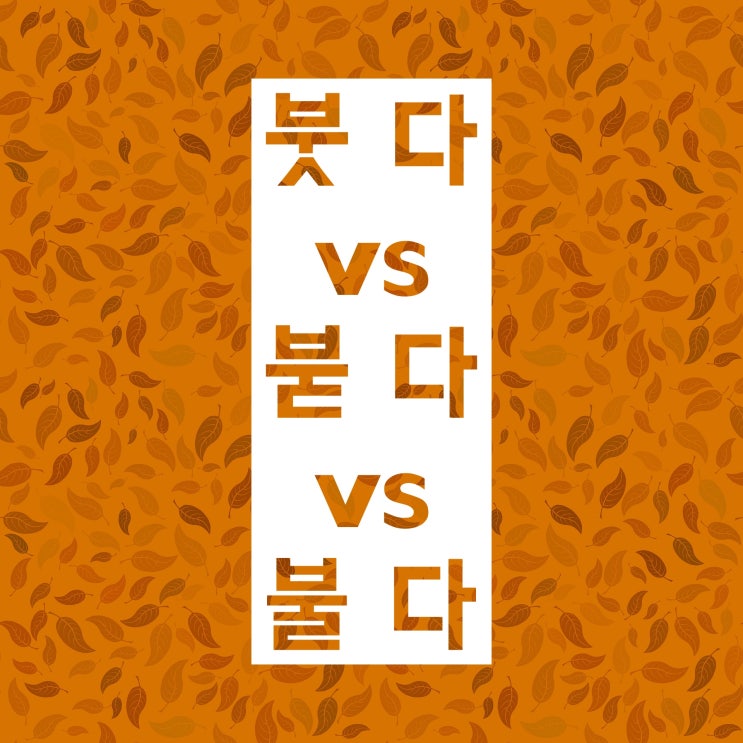 붓다 붇다 불다 :: 라면이? 물을? 구분 방법 소개해요 붓다 붇다 불다 :: 라면이? 물을? 구분 방법 소개해요