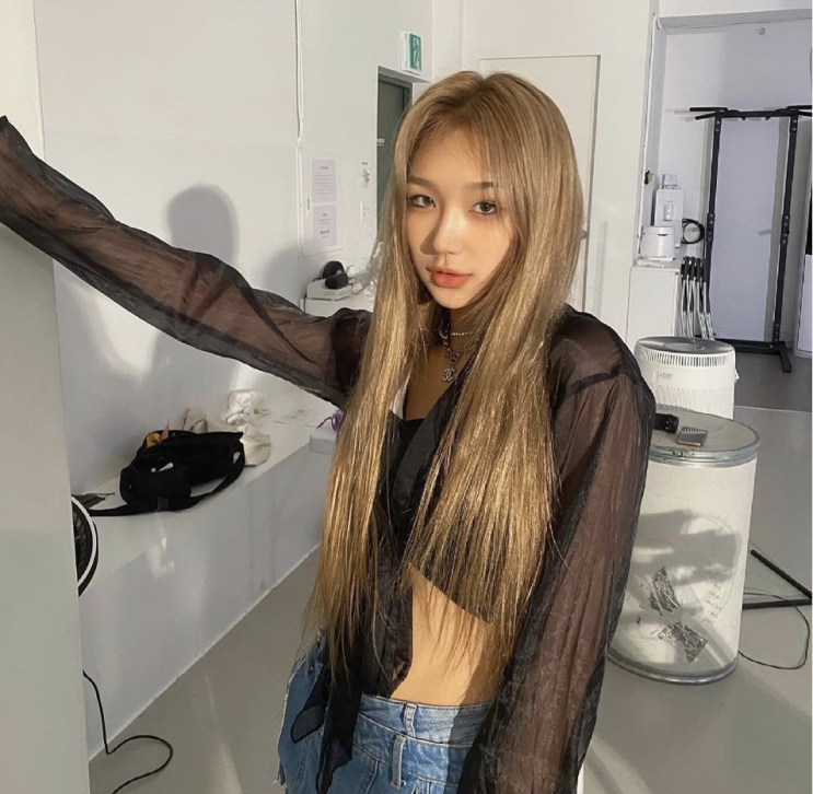  원트 엠마 댄서 손해배상 청구 소송? 인스타