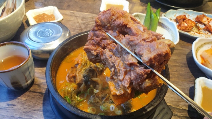  [태경청진동해장국] 본리동 뼈해장국 맛있는집