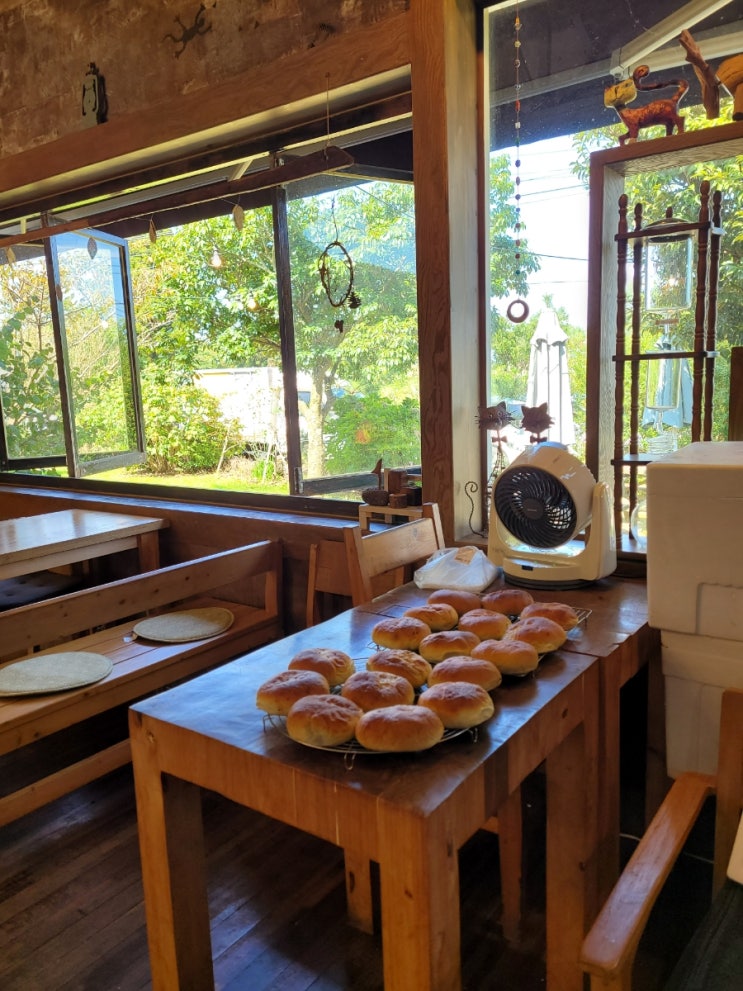 제주 카페무무(cafe muu muu), 단팥빵이 맛난곳