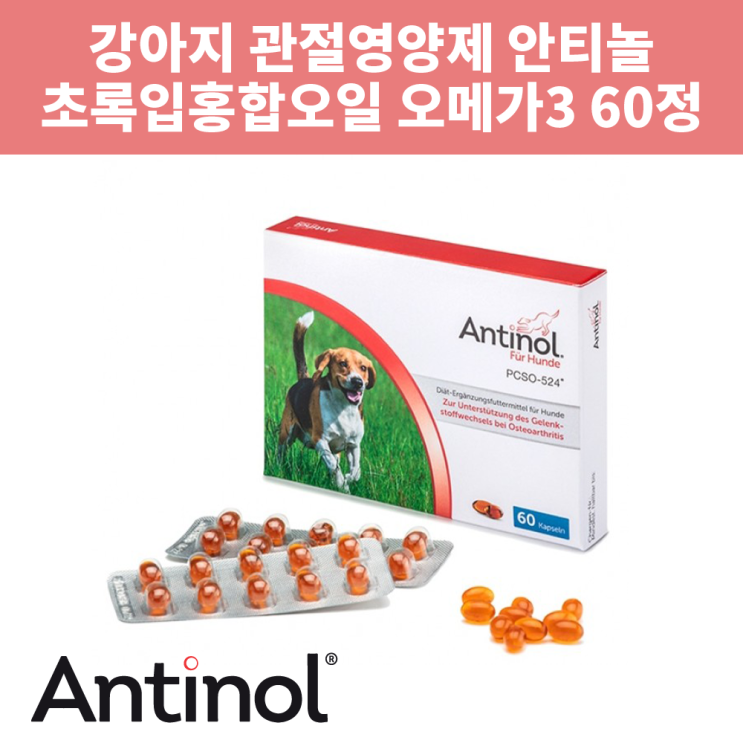 후기가 좋은 안티놀 래피드 강아지용 관절영양제(60정) 초록입홍합 크릴오일 강아지관절약 좋아요