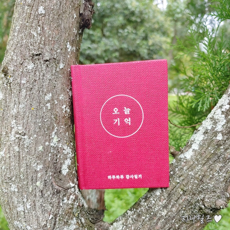  감사일기쓰세요? 저는 리훈다이어리 - 오늘기억 다이어리에 하루하루 감사일기 쓰고 있어요!