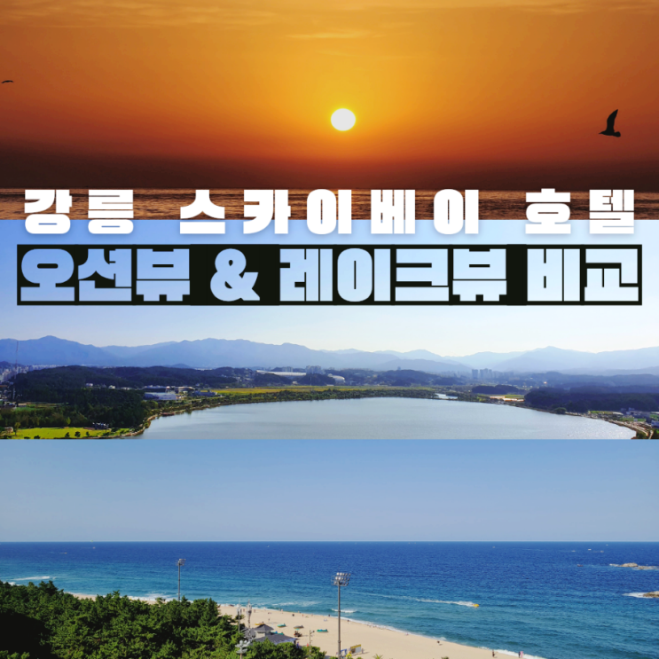  강릉 스카이베이 호텔 오션뷰 & 레이크뷰 비교 (강릉 일출이 보이는 곳은?)