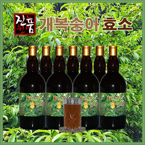 선호도 높은 장녹원 개복숭아효소 1100ml, 8병 추천해요 선호도 높은 장녹원 개복숭아효소 1100ml, 8병 추천해요