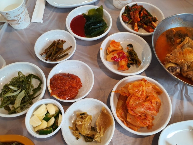  김포 냉동삼겹살 정리하러나왔다 구래동 맛집 정발산도깨비