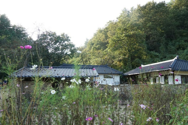  군위 가볼만한곳 당일여행 리틀포레스트 촬영지 혜원의집