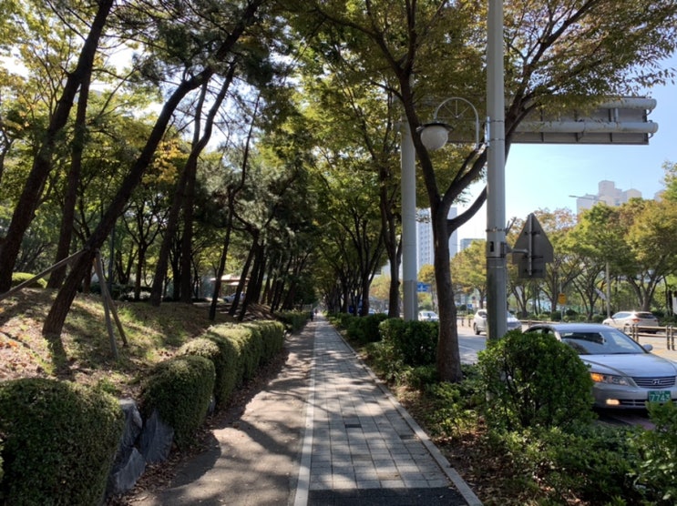 오늘도 날이좋아서 6km 러닝러닝c️ / 환기 시켜 놓고, 로봇 청소기 돌려놓고 나오니 바닥이 말끔 ㅎㅎㅎ( + 로봇 청소기야 힘을 내!) 오늘도 날이좋아서 6km 러닝러닝c️ / 환기 시켜 놓고, 로봇 청소기 돌려놓고 나오니 바닥이 말끔 ㅎㅎㅎ( + 로봇 청소기야 힘을 내!)